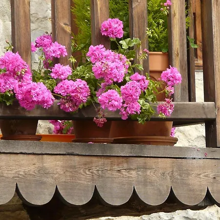 Hotel Rural Zalama *