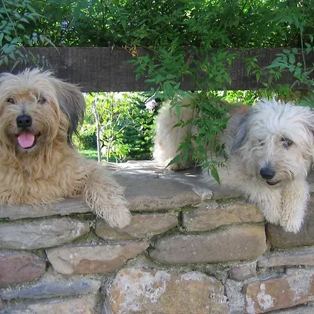 Rural Zalama San Pelayo (Burgos)